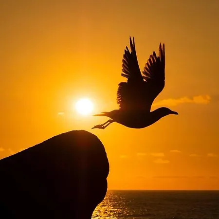 Mirador Do Faro Tourinan